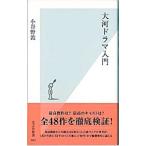大河ドラマ入門／小谷野敦