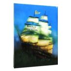 DVD／ap bank fes’09