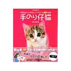  рука клей . кошка | Morita рис самец 