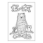 DVD／ボーイズ