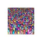 Yahoo! Yahoo!ショッピング(ヤフー ショッピング)大沢伸一／SO2