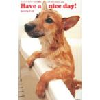 Have a nice day!- фото gla мех . бережно делать 184. слово -|Beretta P-08