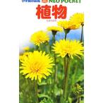  растения | мир рисовое поле ..