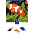  рыба - новый * карман версия Gakken. иллюстрированная книга 9-| Gakken образование выпускать 