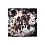 DEATHGAZE／BLISS OUT
