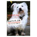  cam задний, Como |WinnSteven