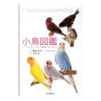 小鳥図鑑／島森尚子