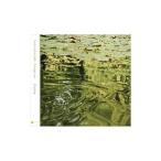 flag．frog／Secrets of the lake／Foreign sun