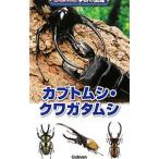 Yahoo! Yahoo!ショッピング(ヤフー ショッピング)カブトムシ・クワガタムシ 【増補改訂版】／学研教育出版