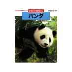  Panda | больше . свет .