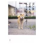 gon futoshi ...., уже все в порядке ..!| гора ..