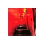 WHITE ASH／Paranoia