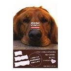  собака ... inter вид with English| скала изначальный прекрасный раз .