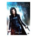 DVD| нижний world ..