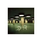 WHITE ASH／Quit or Quiet