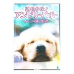 DVD| впечатление body .! Anne bi Lee babo-~.. это чудесный подарок ~