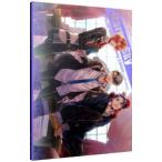 Starry*Sky официальный гид Complete выпуск ~Winter Stories~