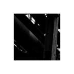 mouse on the keys／machinic phylum