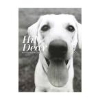 Hi！Dear／奥村康人