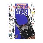  насекомое | храм гора .