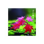  звук. . человек - сердце. столица . специальный - тысяч год. столица прекрасный. . человек оригинал * саундтрек 