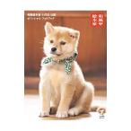 和風総本家十代目豆助オフィシャルフォトブック／森下泰樹