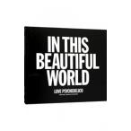 LOVE PSYCHEDELICO／IN THIS BEAUTIFUL WORLD 初回盤