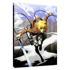 ショッピング諫山 Blu-ray／進撃の巨人 3