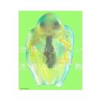  мир. прекрасный прозрачный . живое существо 