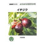 イチジク／大森直樹（1958〜）