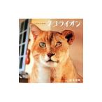 ネコライオン／岩合光昭