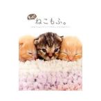 Yahoo! Yahoo!ショッピング(ヤフー ショッピング)もっと！ねこもふ。／石橋絵