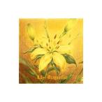 Dragon Ash／Lily 初回限定盤