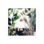 Ｒａｙｆｌｏｗｅｒ／Ｎａｒｃｉｓｓｕｓ