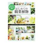  впервые .. декоративное растение | "Остров сокровищ" фирма 