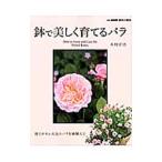  горшок . красивый ... роза | дерево . стол .