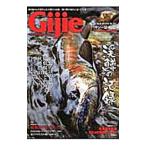 Gijie 2014SUMMER*AUTUMN|. документ фирма 