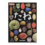 .....| близко рисовое поле документ .