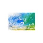 Waves of North Shore