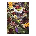 THE FLOWERS|pojitib Dream Person's 