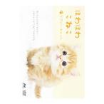 DVD／ほわほわこねこ ラブリー・キャット