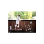  остров ..|. часть высота .