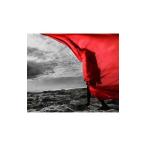 Aimer／Brave Shine（初回生産限定盤）