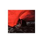 Aimer／Brave Shine