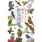  вдруг видеть .. наблюдение . приятный дикая птица иллюстрированная книга | камень рисовое поле свет история 