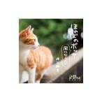  Watanabe . мужчина |.. .. bosa~ способ став хочет 