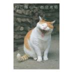 ne. светит | скала . свет .