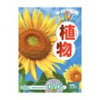  растения |.. правильный доверие 