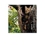 fu.... ..| скала . свет .