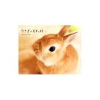 Yahoo! Yahoo!ショッピング(ヤフー ショッピング)うさぎのモキュ様／ImaiTomoko